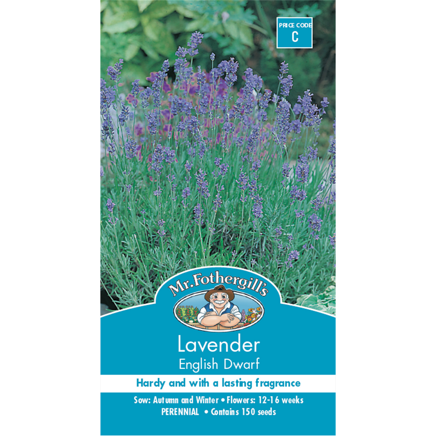 Mr Fothergill's Dwarf Lavender Flower Seeds - 75mm - Hardy - Fragrant - SuperSaverAU - view 1