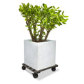 Jack 29cm Square Charcoal Pot Trolley - Wood-Poly Composite, 100kg Capacity