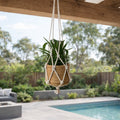 Eden 110cm Natural Cotton Macrame Plant Hanger With Tassels