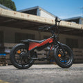 Flight Risk FR101 E-Bike for Ages 4 and Up - 16 Inch Frame, 250W Motor, 36V 10Ah Battery - FR-101BLACK