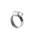 Holman 16-27mm Stainless Steel Hose Clamp