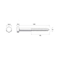 Zenith Coach Screws - M10 x 100mm - Stainless Steel 304 - Heavy-Duty - SuperSaverAU - view 2
