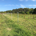 Jack 1.57mm x 30m High Tensile Galvanised Steel Barbed Wire