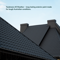 Taubmans 1L Black Gloss All Weather Exterior Paint - Mould Resistant - Fast Drying - SuperSaverAU - view 3