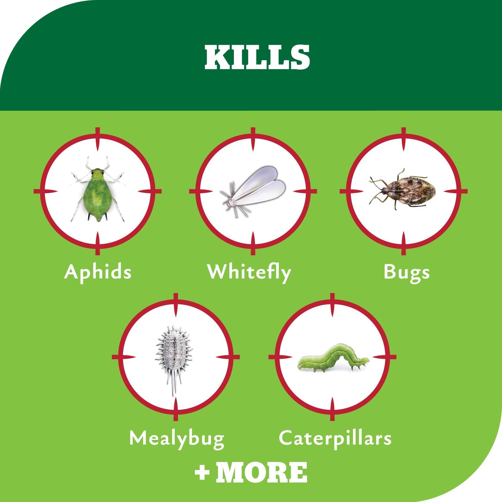 Yates 50ml Advanced Garden Insect Killer Liquid Concentrate