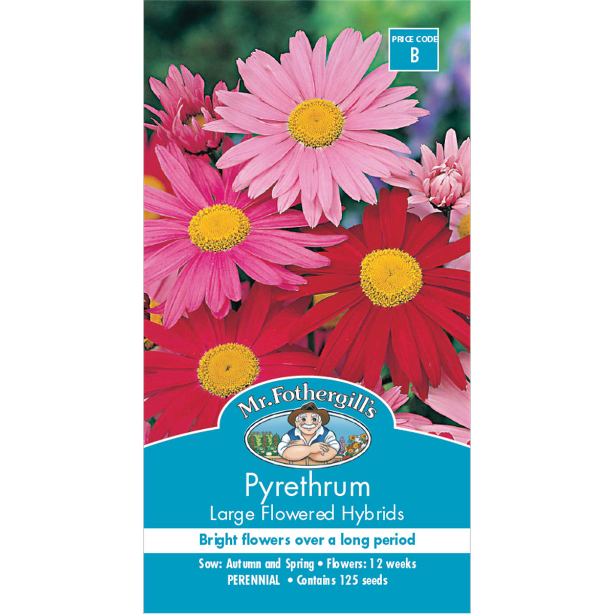 Mr Fothergill Pyrethrum Large Flower Seeds 60cm Perennial Cut Flower - SuperSaverAU - view 1