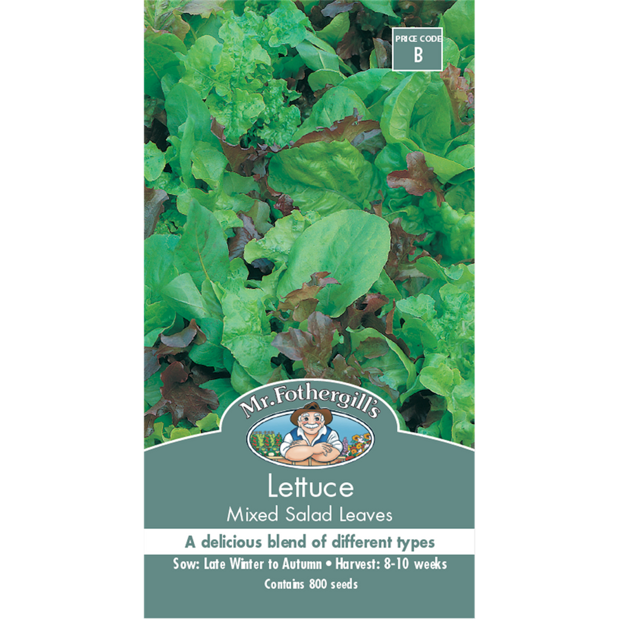 Mr Fothergill Lettuce Mixed Salad Leaves Seeds 75mm Green Healthy - SuperSaverAU - view 1