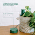 Plant with Willow Smart Indoor Plant Sensor Plant Parent Pack Moss, 3 Sensors