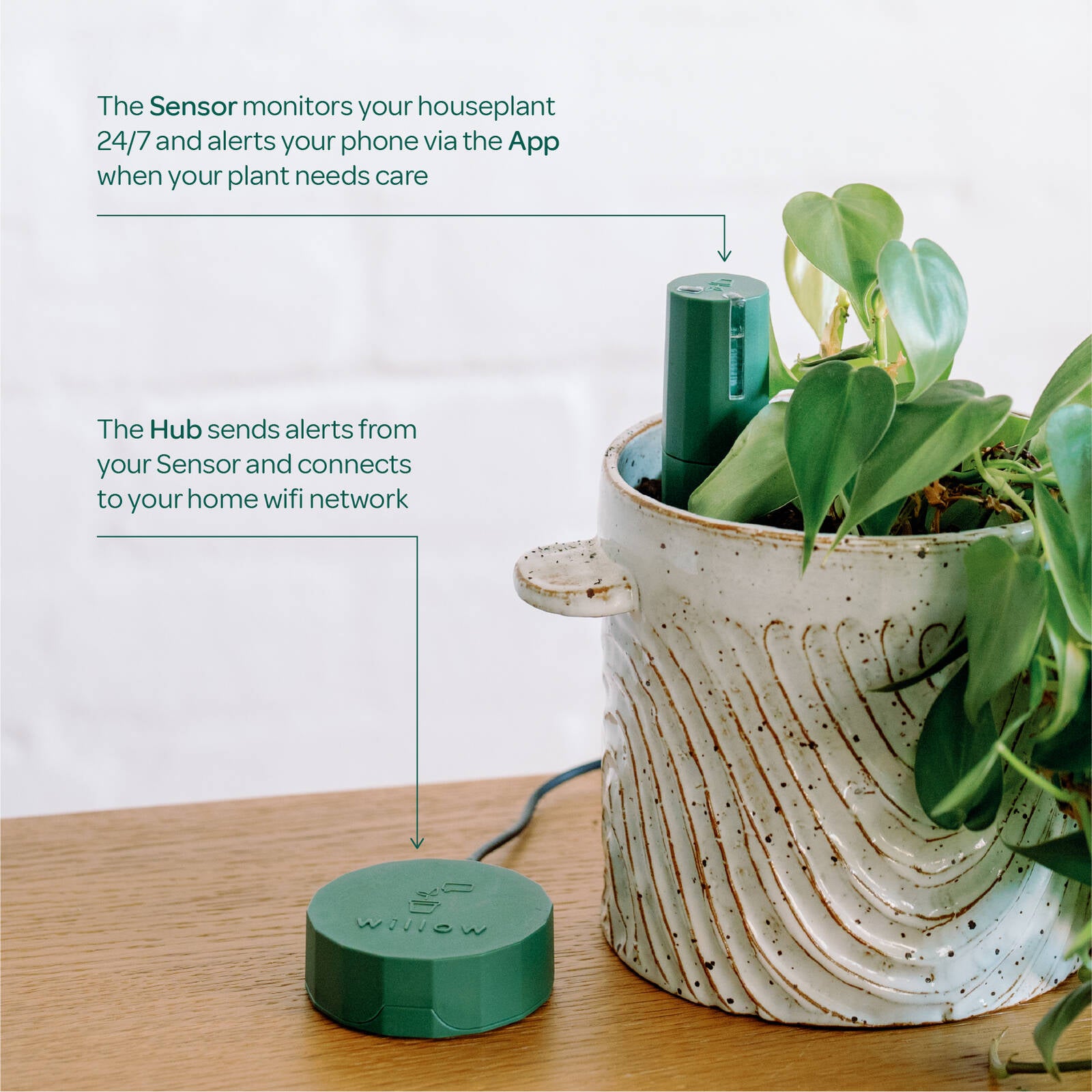 Plant with Willow Smart Indoor Plant Sensor Plant Parent Pack Moss, 3 Sensors
