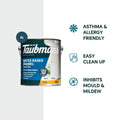 Taubmans 4L White Gloss Water Based Enamel Paint