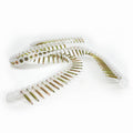 Bremick Collated Plasterboard Screws 6g x 30mm Yellow Zinc Bugle Head Fine Thread 1000 Pack