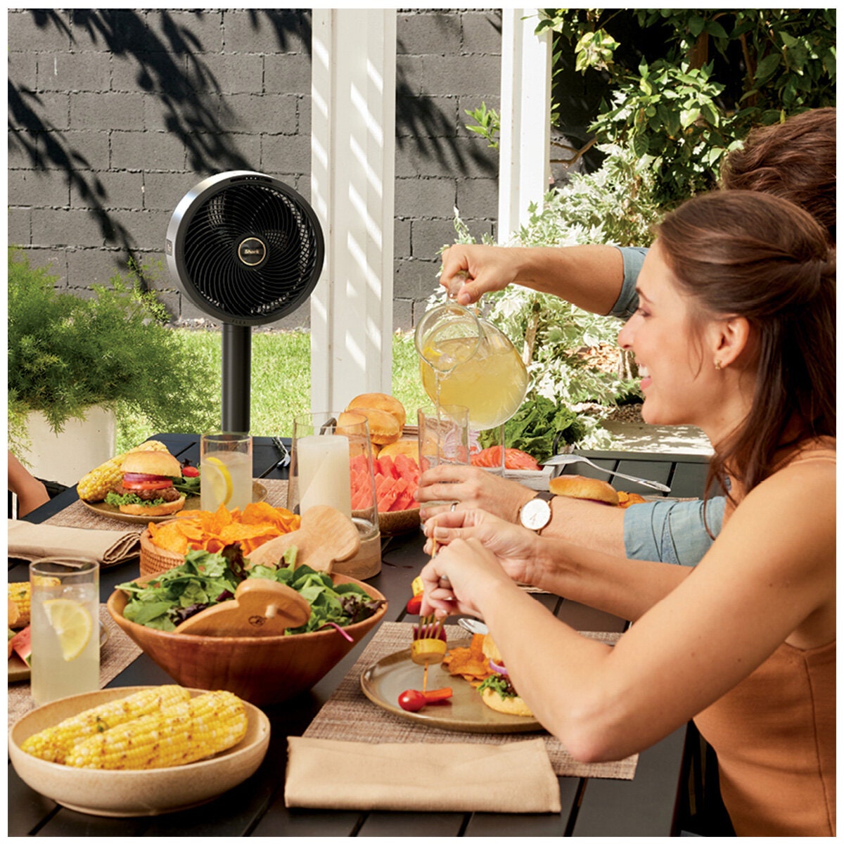 Shark FlexBreeze pedestal fan - Black - corded or cordless - 3 speeds - remote and cover - FA200