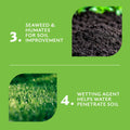 Munns Professional Golf Course Green Lawn Fertiliser 2.4L - Slow Release Nutrients - Covers 220 m² - SuperSaverAU - view 5