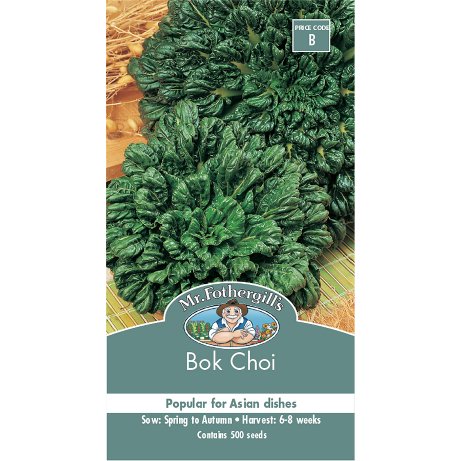 Mr Fothergill Bok Choi Vegetable Seeds - 75mm - Easy To Grow - Quick Maturity - SuperSaverAU - view 1