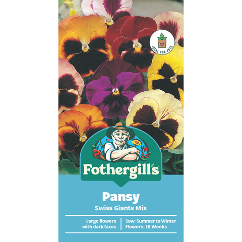 Mr Fothergill's Pansy Swiss Giants Mixed Flower Seeds - Large-Flowered Variety, 15cm