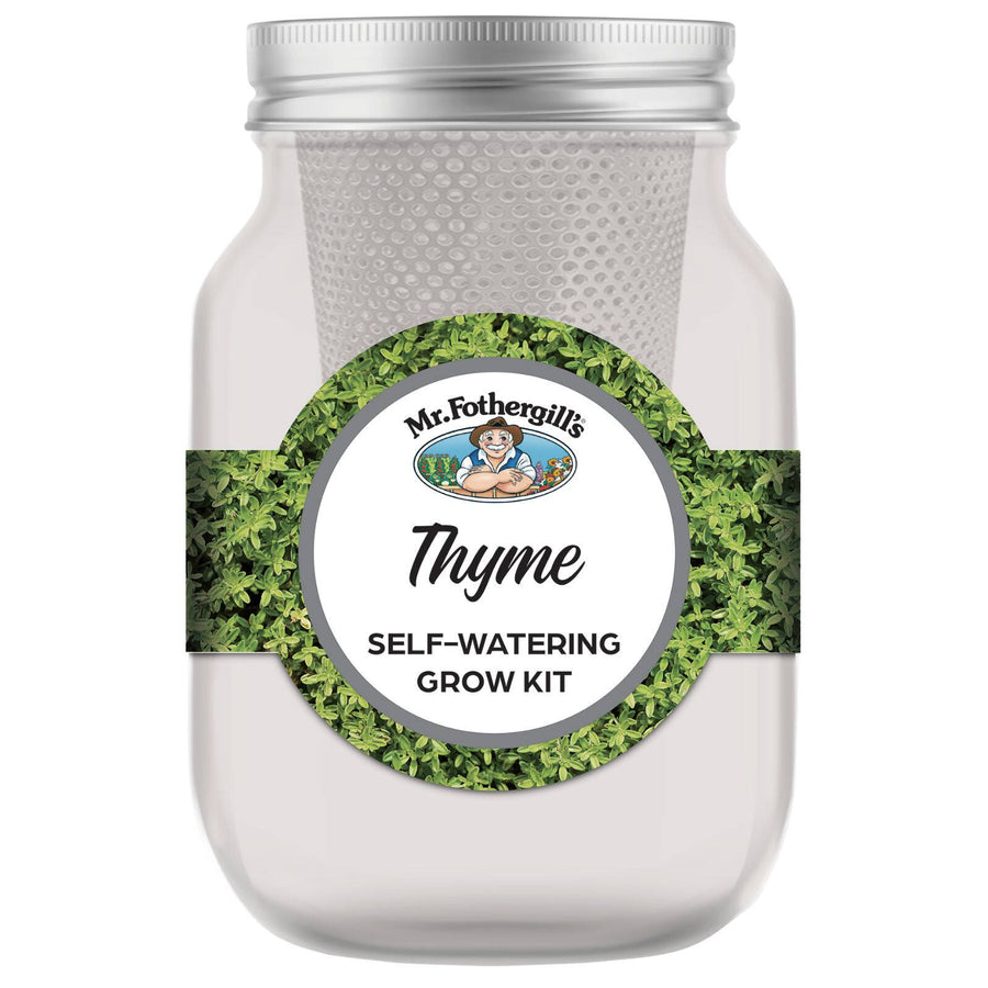 Mr Fothergill's Thyme Self Watering Mason Jar Grow Kit 90 x 172mm