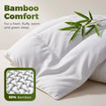 Bamboo Blend Quilt 200GSM - Double - All Seasons Comforter, 50% Bamboo 50% Polyester Fill, Baffle Box, Storage Bag