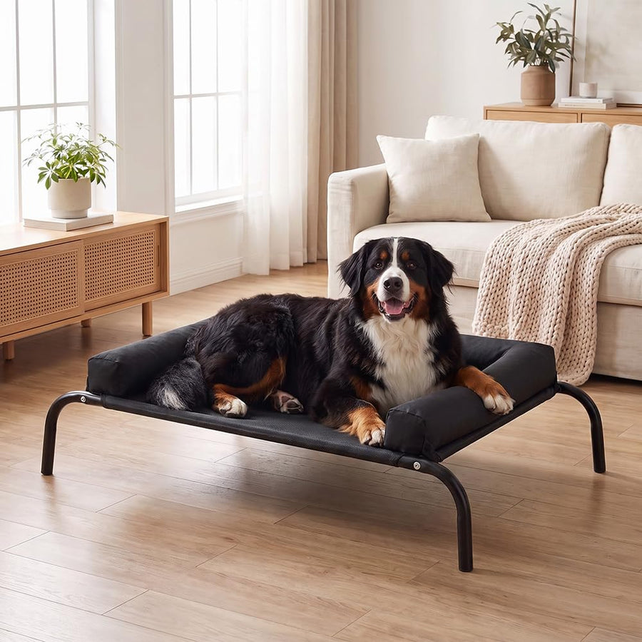 Cooling Elevated Dog Bed with Bolster - Black, XL 123 x 90 x 20cm - Textilene Mesh, Steel Frame, Holds 60kg