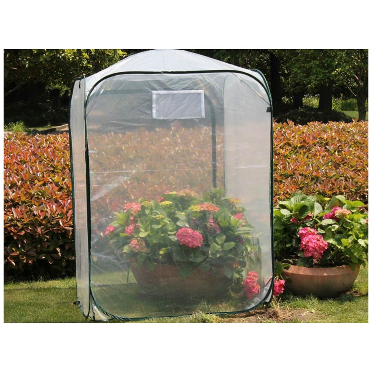 Maze 1000 x 1400mm Pop Up Mini Greenhouse Plant Cover Polyethylene Ventilated — image 3