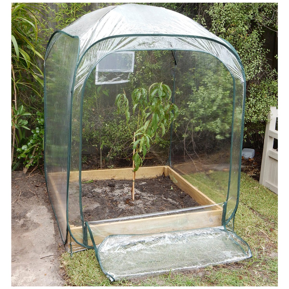 Maze 1000 x 1400mm Pop Up Mini Greenhouse Plant Cover Polyethylene Ventilated — image 4