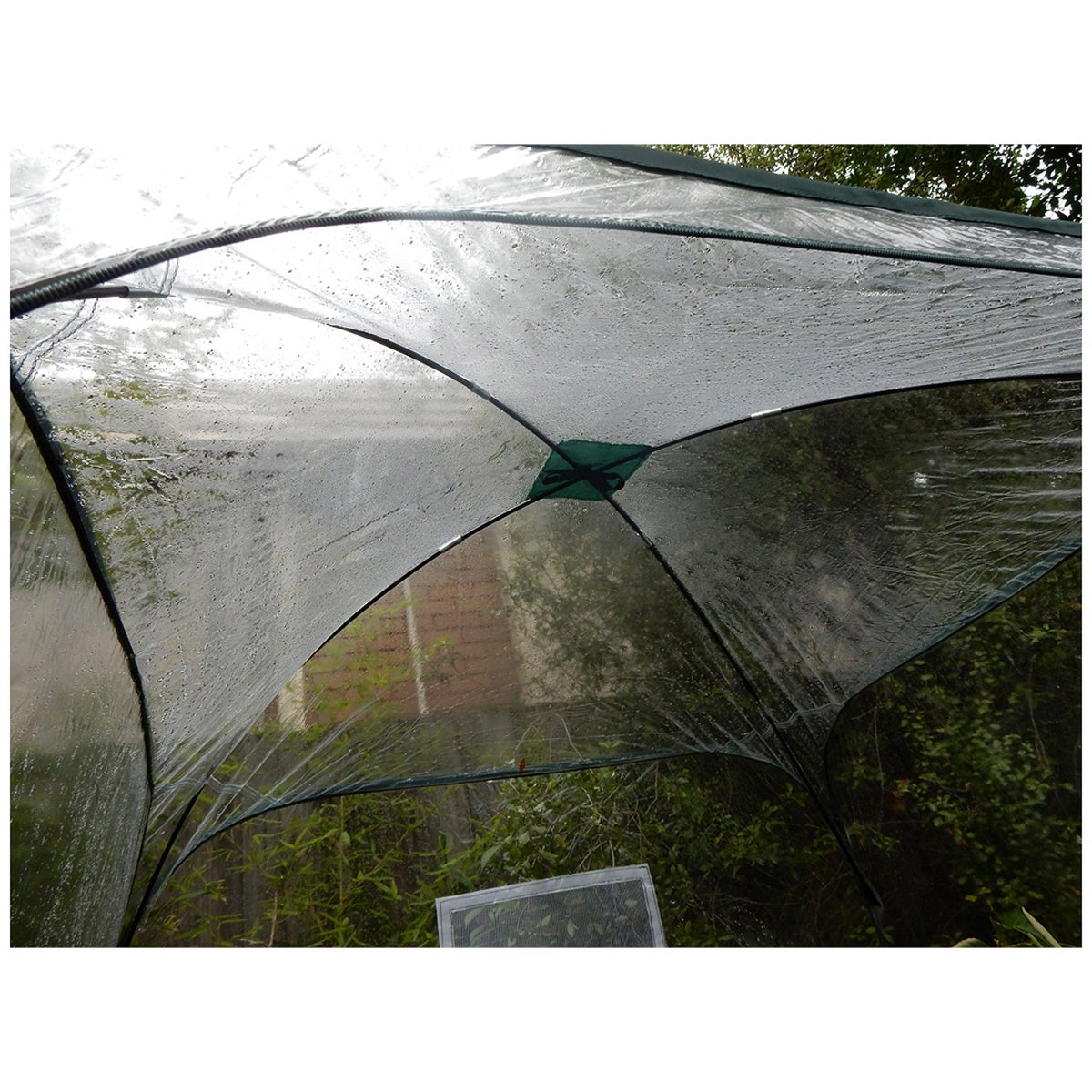 Maze 1000 x 1400mm Pop Up Mini Greenhouse Plant Cover Polyethylene Ventilated — image 5