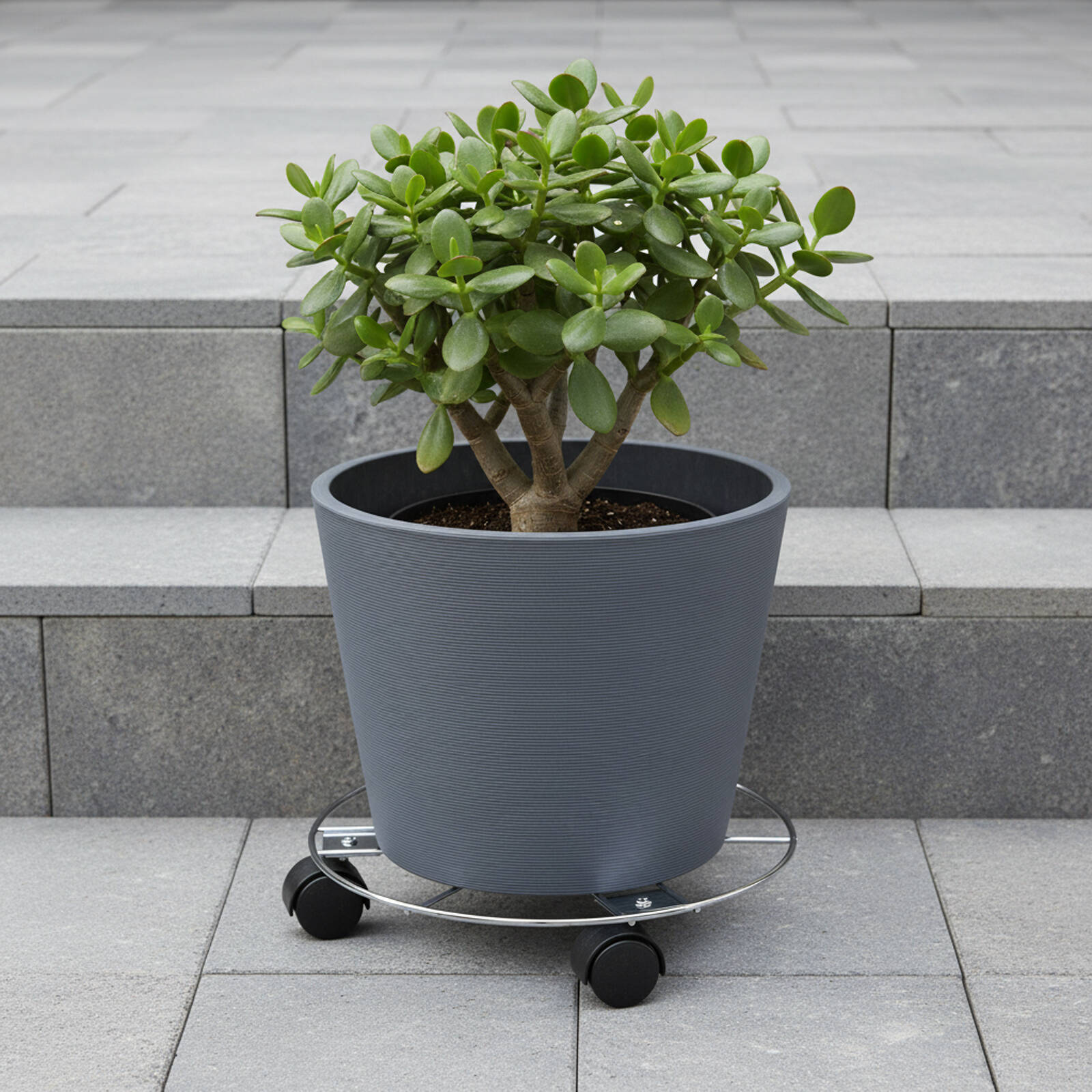 Eden 25cm Round Pot Plant Trolley, Wire, 25kg Capacity, Indoor & Outdoor