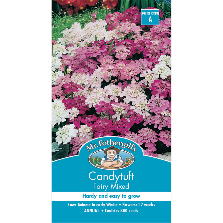 Mr Fothergill Candytuft Fairy Mixed Flower Seeds 75mm Easy Grow - SuperSaverAU - view 1