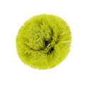 Ryobi 150mm Round Medium Bristle Brush - Effective Cleaning Tool - Grout & Tile - SuperSaverAU - view 1