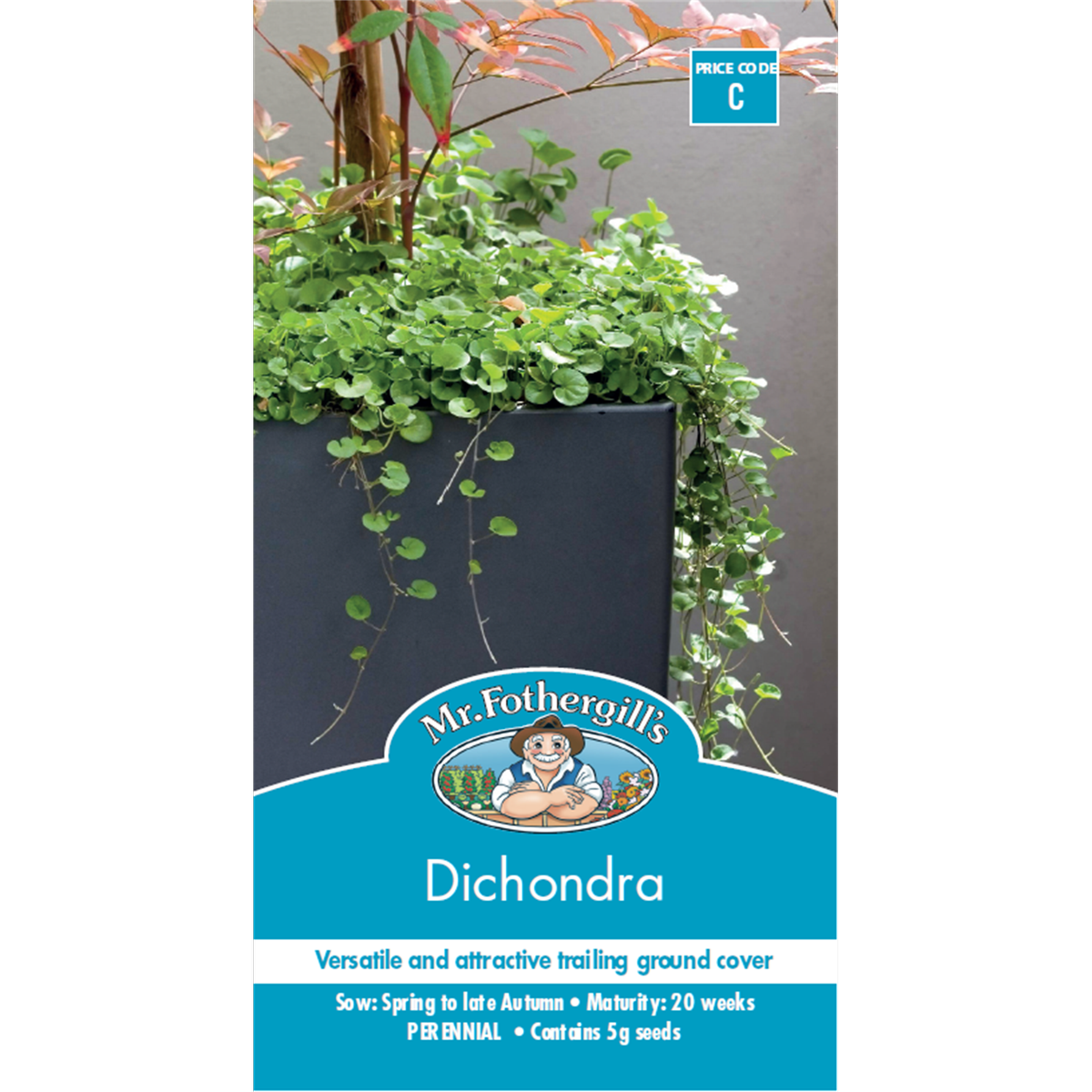 Mr Fothergill Dichondra Seeds 75mm Low Maintenance Ground Cover - SuperSaverAU - view 1