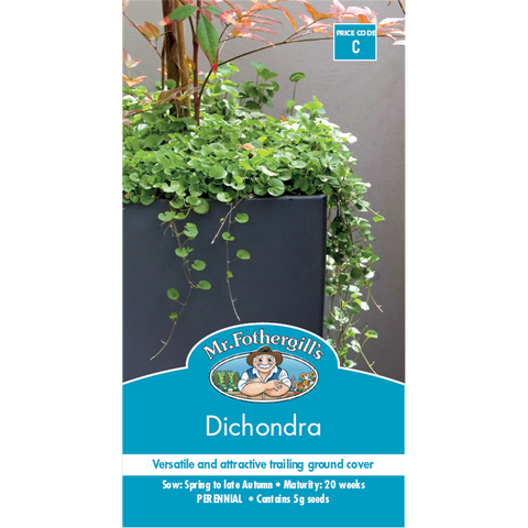 Mr Fothergill Dichondra Seeds 75mm Low Maintenance Ground Cover - SuperSaverAU - view 1