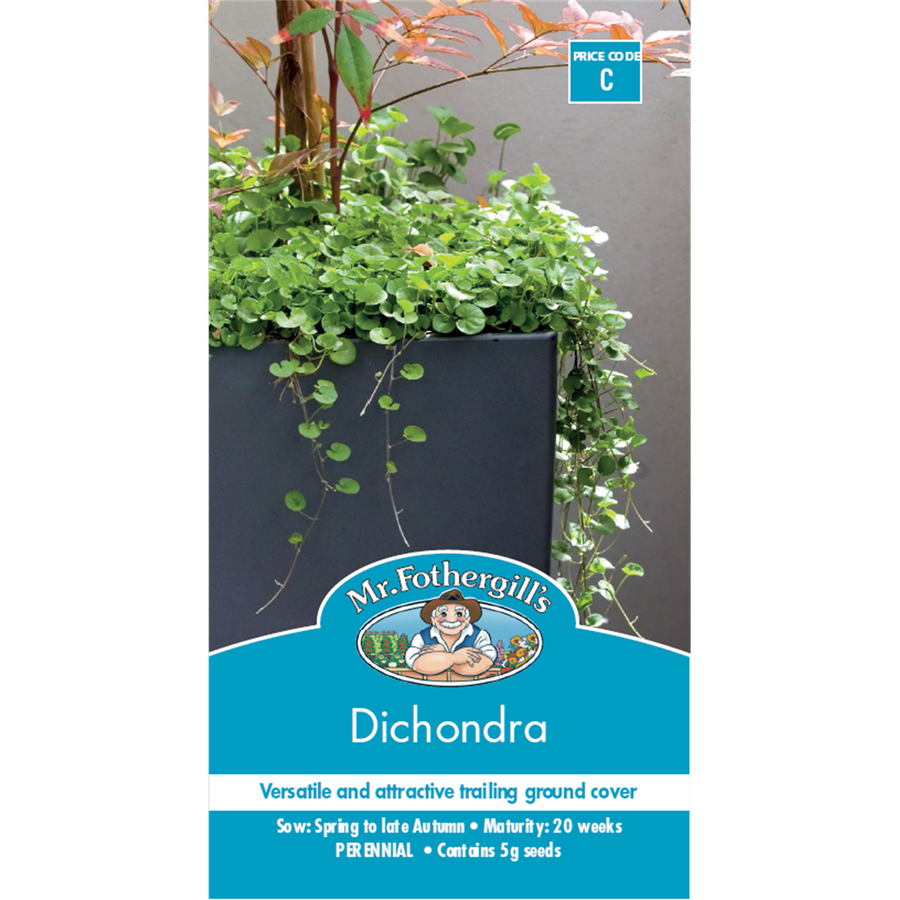 Mr Fothergill Dichondra Seeds 75mm Low Maintenance Ground Cover - SuperSaverAU - view 1