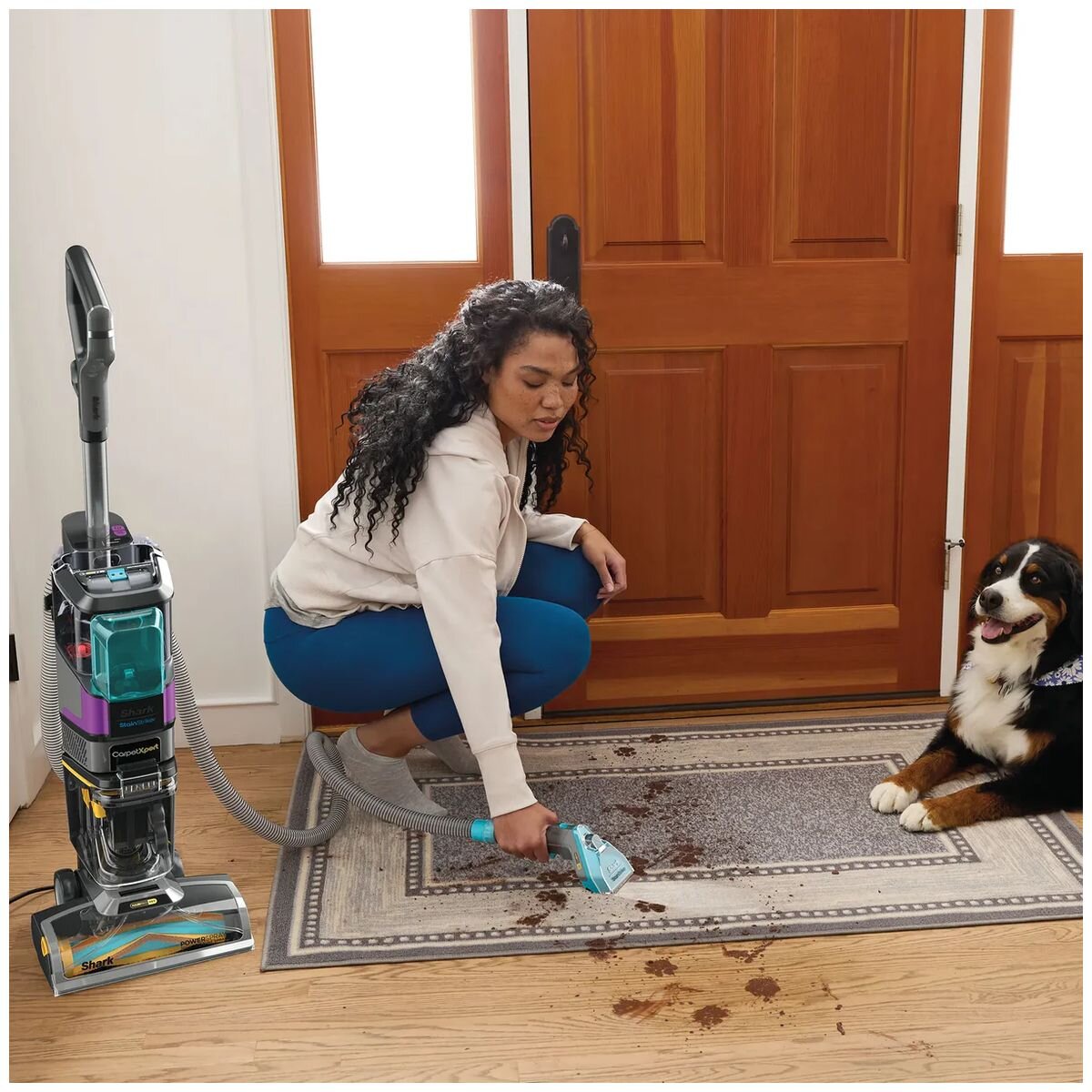 Shark upright cleaner with StainStriker and HairPro pet technology - bagless, 1000W - EX300