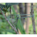 Saxon Jute Plant Tie - 50m - Natural Fibres - Durable and Reusable - SuperSaverAU - view 2