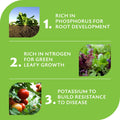 Yates Blood & Bone Plant Food 10kg - Organically Based with Potash Fertiliser