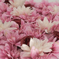 UN-REAL 50 x 50cm Dahlia & Rose Flower Hedge Tile - Artificial Floral Wall Panel