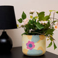 Crafted Paint Your Own Pot Kit - Daisy Hiking Trail - 2 Pots - 160mm - Assorted - SuperSaverAU - view 5