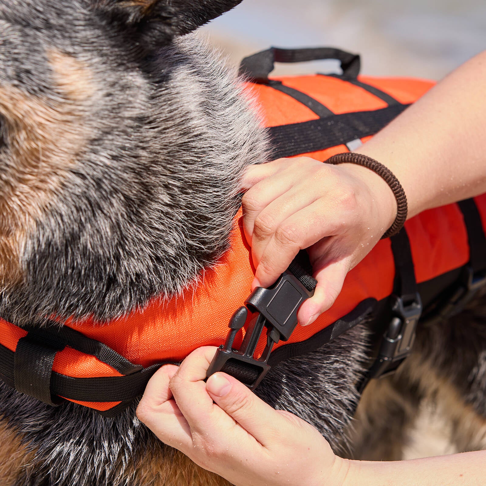 Happy Tails Small Floating Pet Vest for Dogs - Polyester/Foam