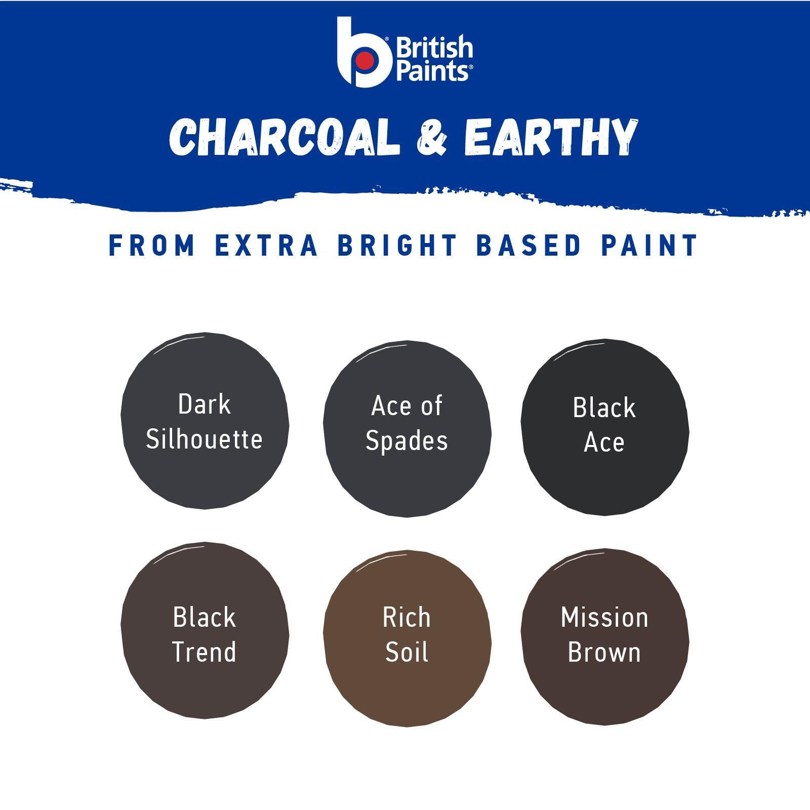 British Paints Paint & Prime Exterior Low Sheen 1L Extra Bright Base, UV Resistant
