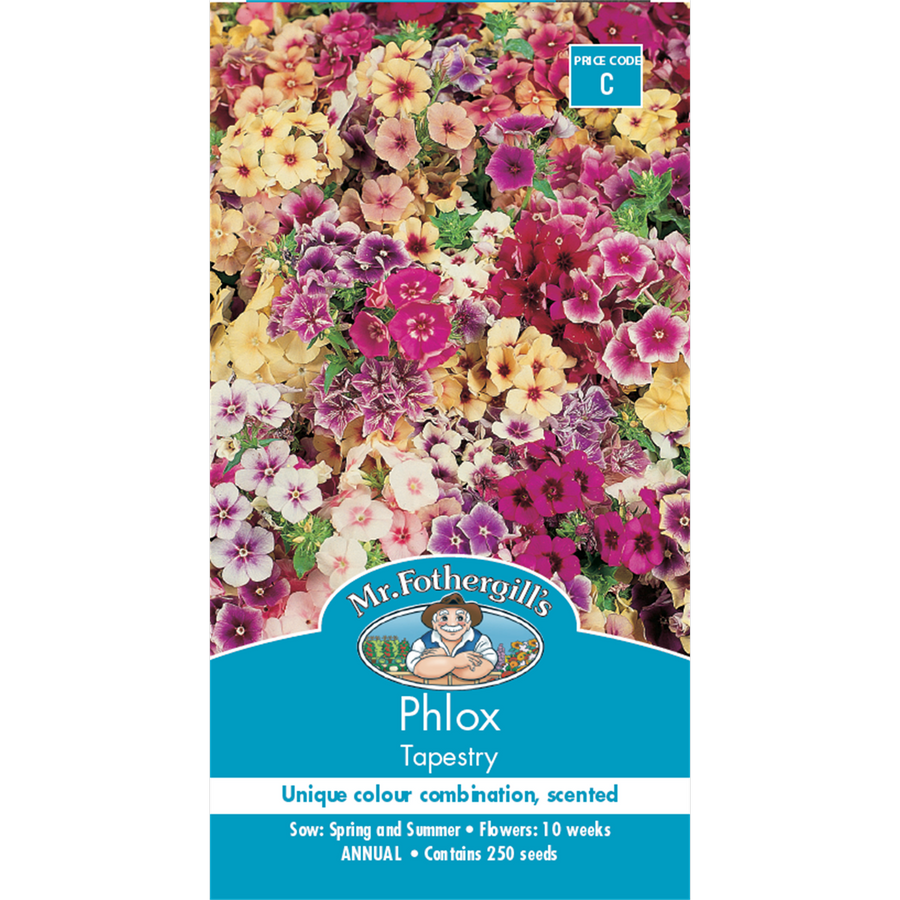 Mr Fothergill Phlox Seeds - 45cm - Half Hardy Annual - Fragrant Flowers - SuperSaverAU - view 1