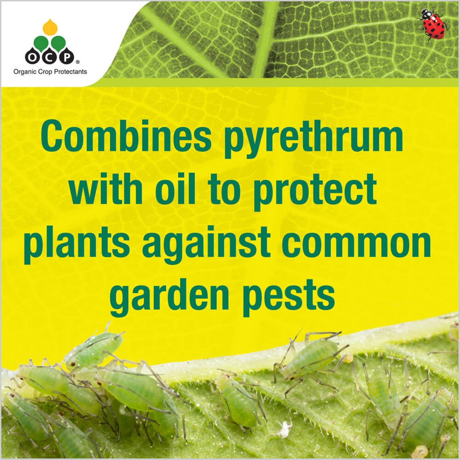 OCP Eco-Pyrethrum PLUS Ready to Use Insecticide 750ml Pet Friendly