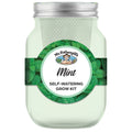 Mr Fothergill's Self Watering Mason Jar Mint Grow Kit - Green Glass, Indoor Herb Kit