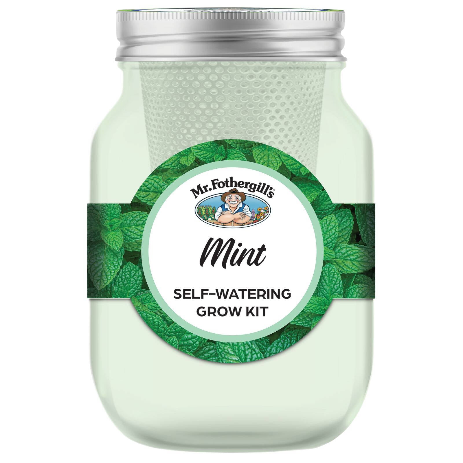 Mr Fothergill's Self Watering Mason Jar Mint Grow Kit - Green Glass, Indoor Herb Kit