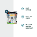 Taubmans 4L All Weather Exterior Paint - Neutral - Semi Gloss - 4L - Mould Resistant - SuperSaverAU - view 2
