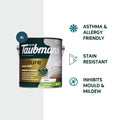 TAUBMANS Endure 4L White Semi Gloss Interior Walls Paint Water Based UV Resistant
