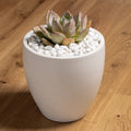Tuscan Path Decorative White Pebbles 2kg 15-20mm - Indoor/Outdoor Use - SuperSaverAU - view 2