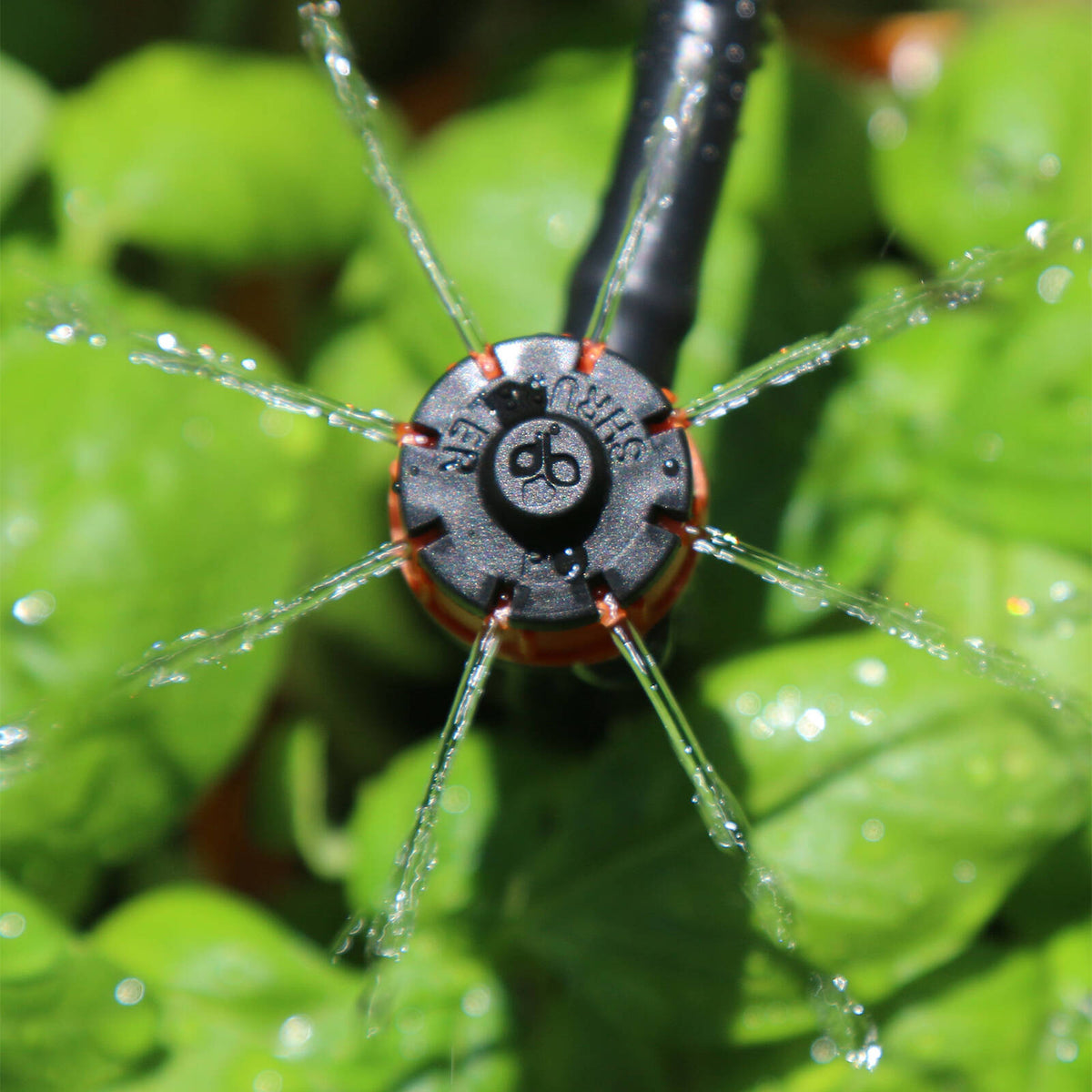 Holman Barbed Drip Irrigation PC Emitter on Spike 5 Pack - Black & Orange Plastic