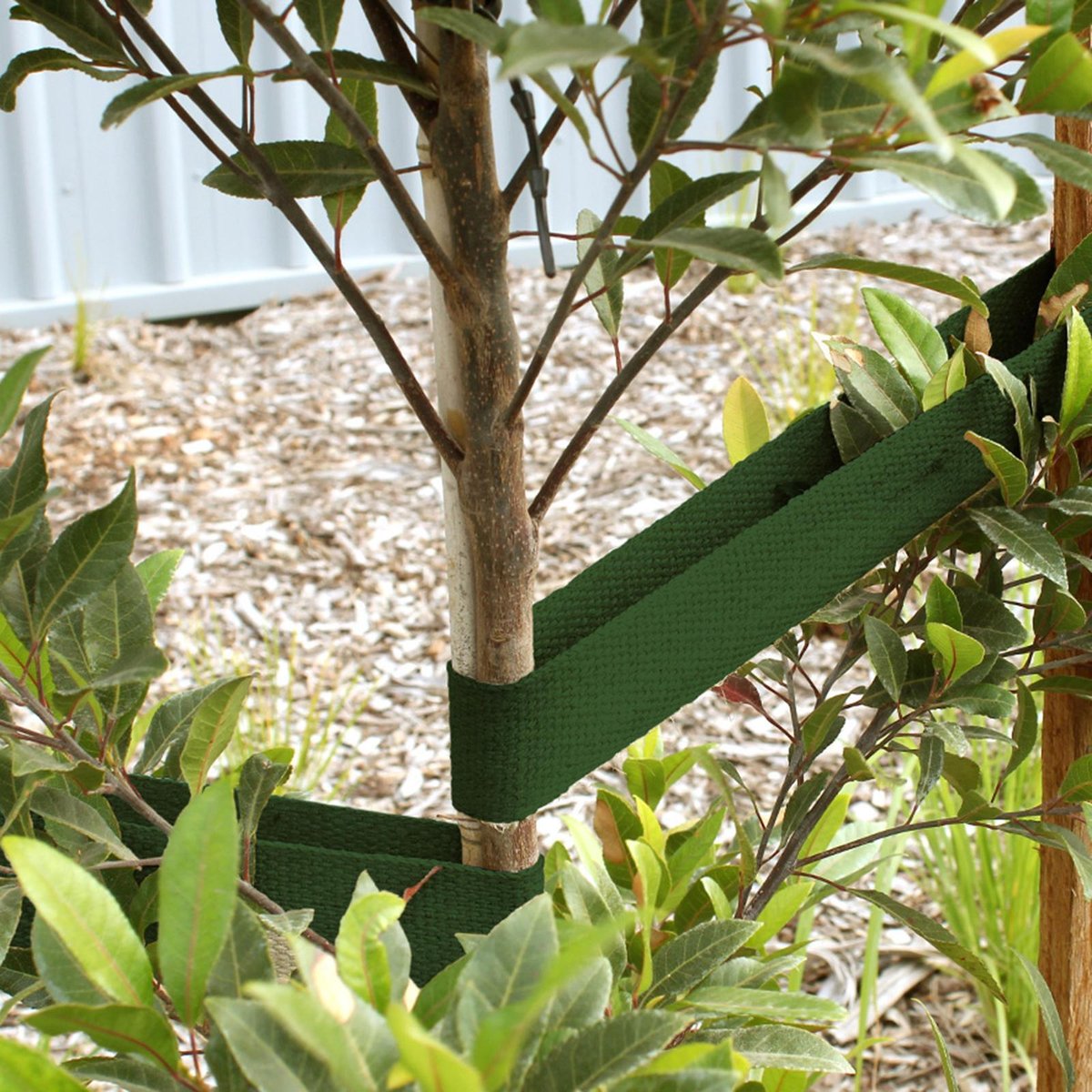 Jack Green Heavy Duty Tree Webbing - 45mm x 50m - UV-Stable - Tree Support - SuperSaverAU - view 2