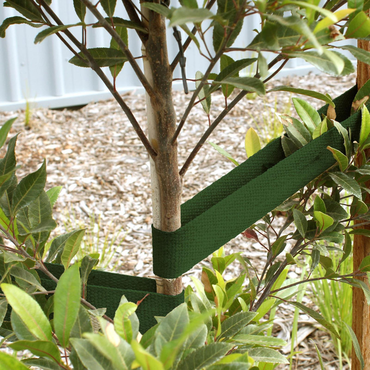Jack 45mm x 50m Green Heavy Duty Tree Webbing Plant Ties