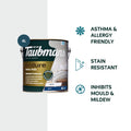 TAUBMANS Endure 4L White Matt Interior Walls Paint Water Based UV Resistant