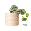 Borralheira Indoor Ceramic Pot - 180 x 155mm - Smooth Bone - Durable & Waterproof - SuperSaverAU - view 3